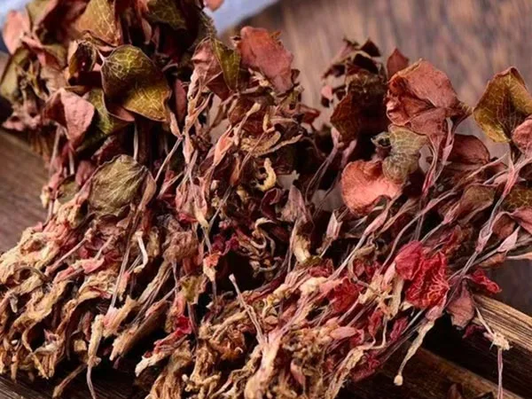 Super Grade Garing Anoectochilus Roxburghii Tekan ing Pasar Khusus
