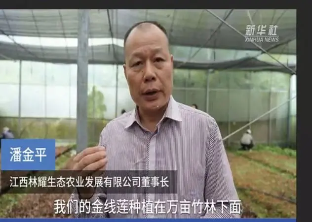 Pan Jinping, Ketua Jiangxi Linyao Ecological Agriculture Development Co., Ltd., diwawancarai dening Xinhua News Agency