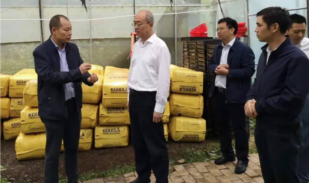 Xie Guanghua, Sekretaris Partai lan Direktur Administrasi Pengobatan Tradisional Cina Provinsi Jiangxi, nganakake riset ing basis tanduran Anoectochilus
