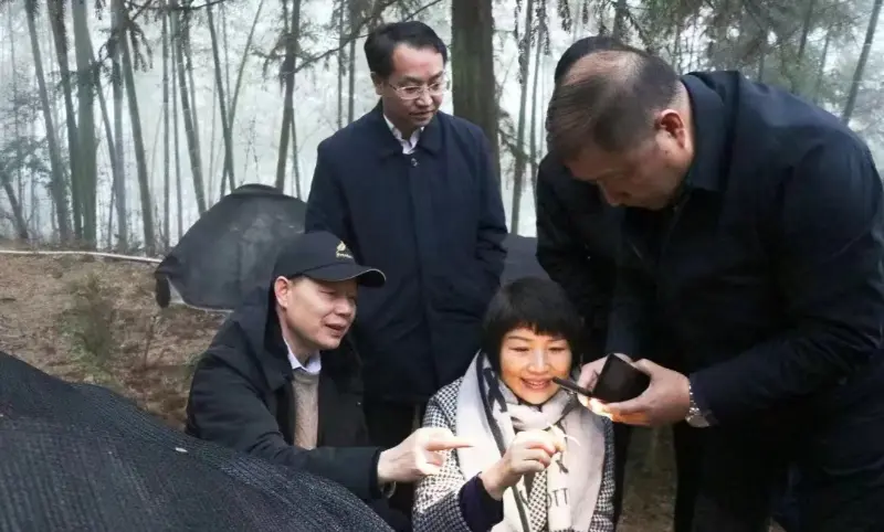 Lu Xiaoqing, mantan Ketua Jiangzhong Pharmaceutical lan Anggota Saiki Komite Tetap Komite Partai Provinsi Jiangxi & Direktur Departemen Publisitas, Priksa Basis Tanam Kita